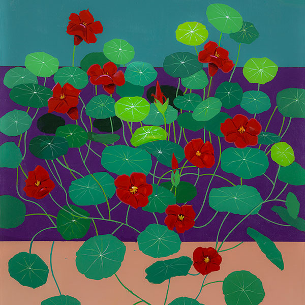 Red Nasturtiums (detail)